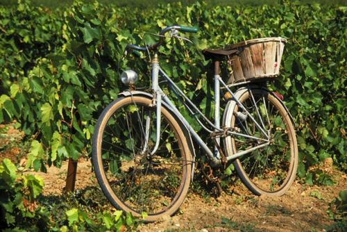 La Maison Grenadine Pres Du Canal Du Midi Tourouzelle ภายนอก รูปภาพ