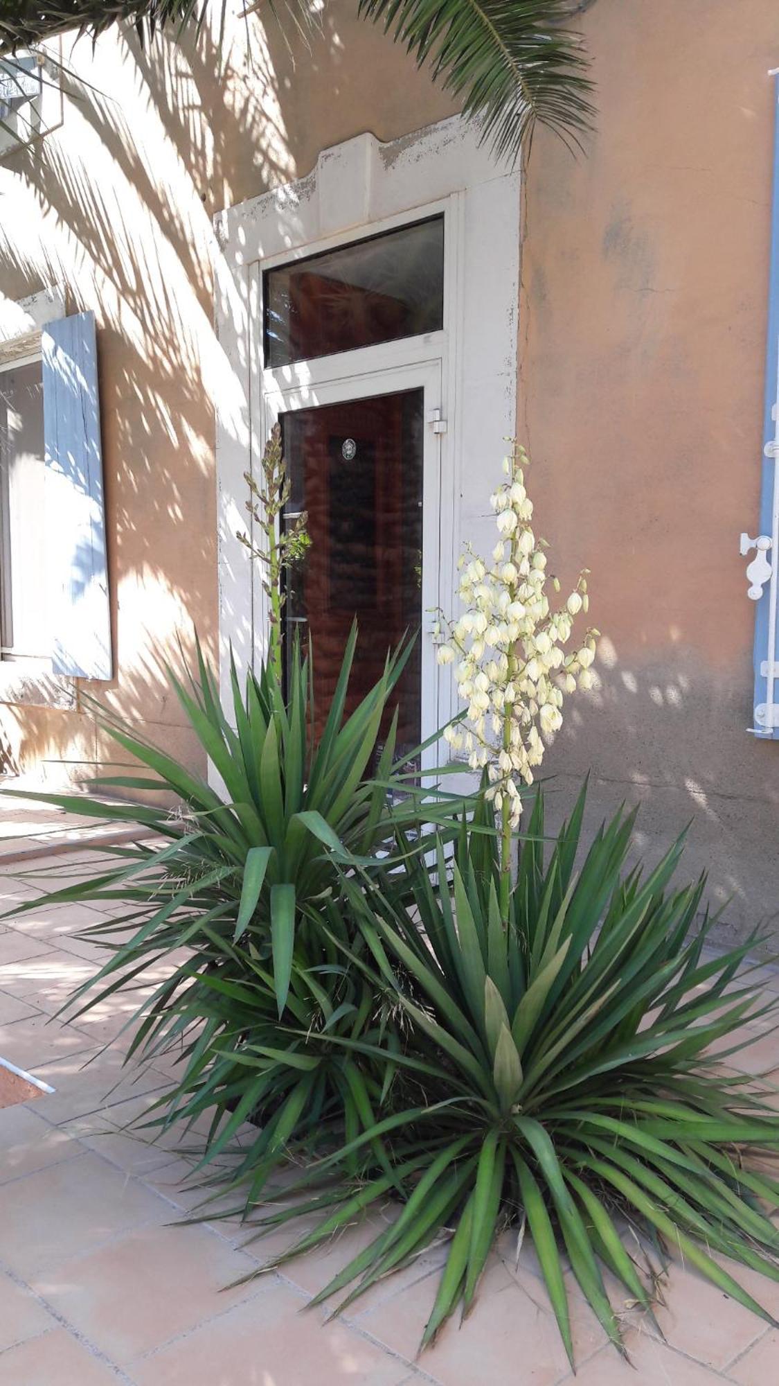 La Maison Grenadine Pres Du Canal Du Midi Tourouzelle ภายนอก รูปภาพ